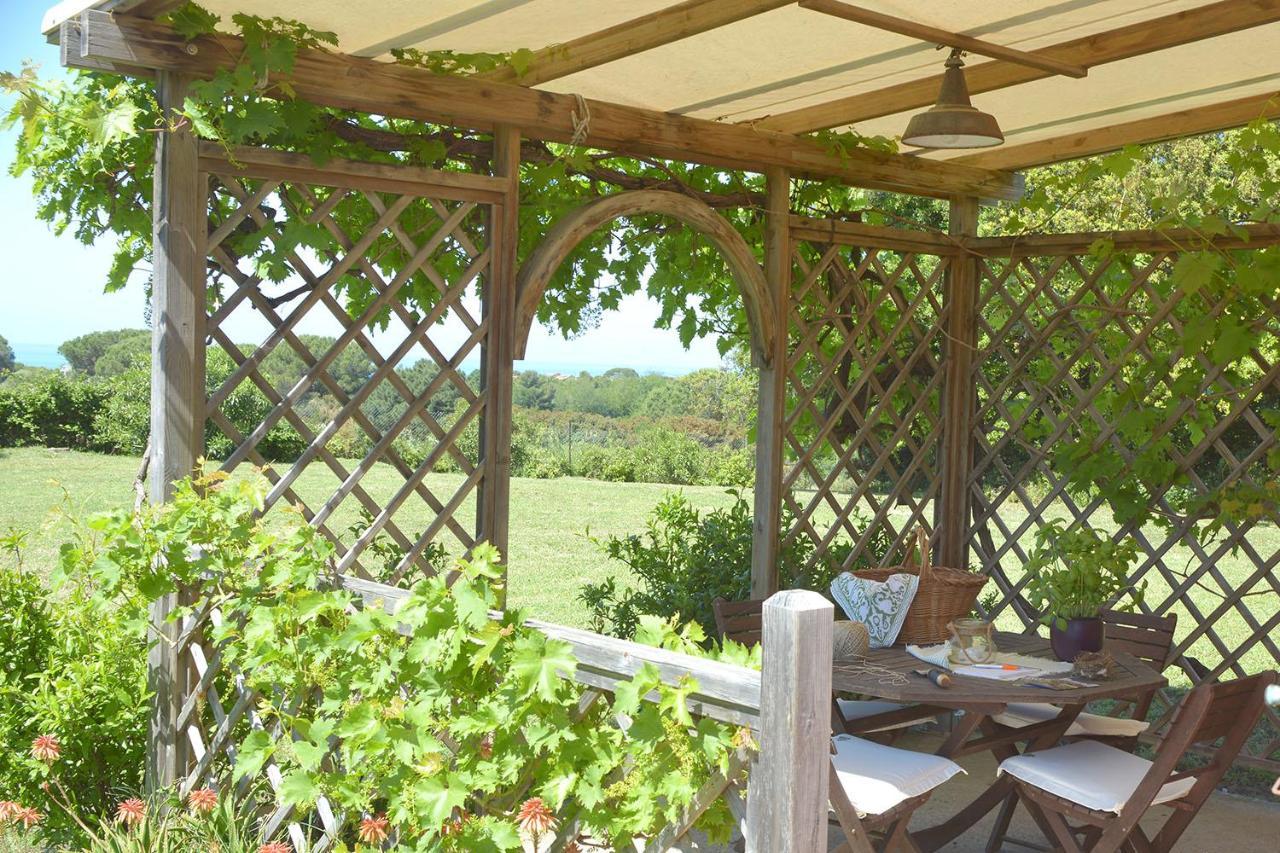 Agriturismo Le Cerbonche Розиньяно-Мариттимо Экстерьер фото