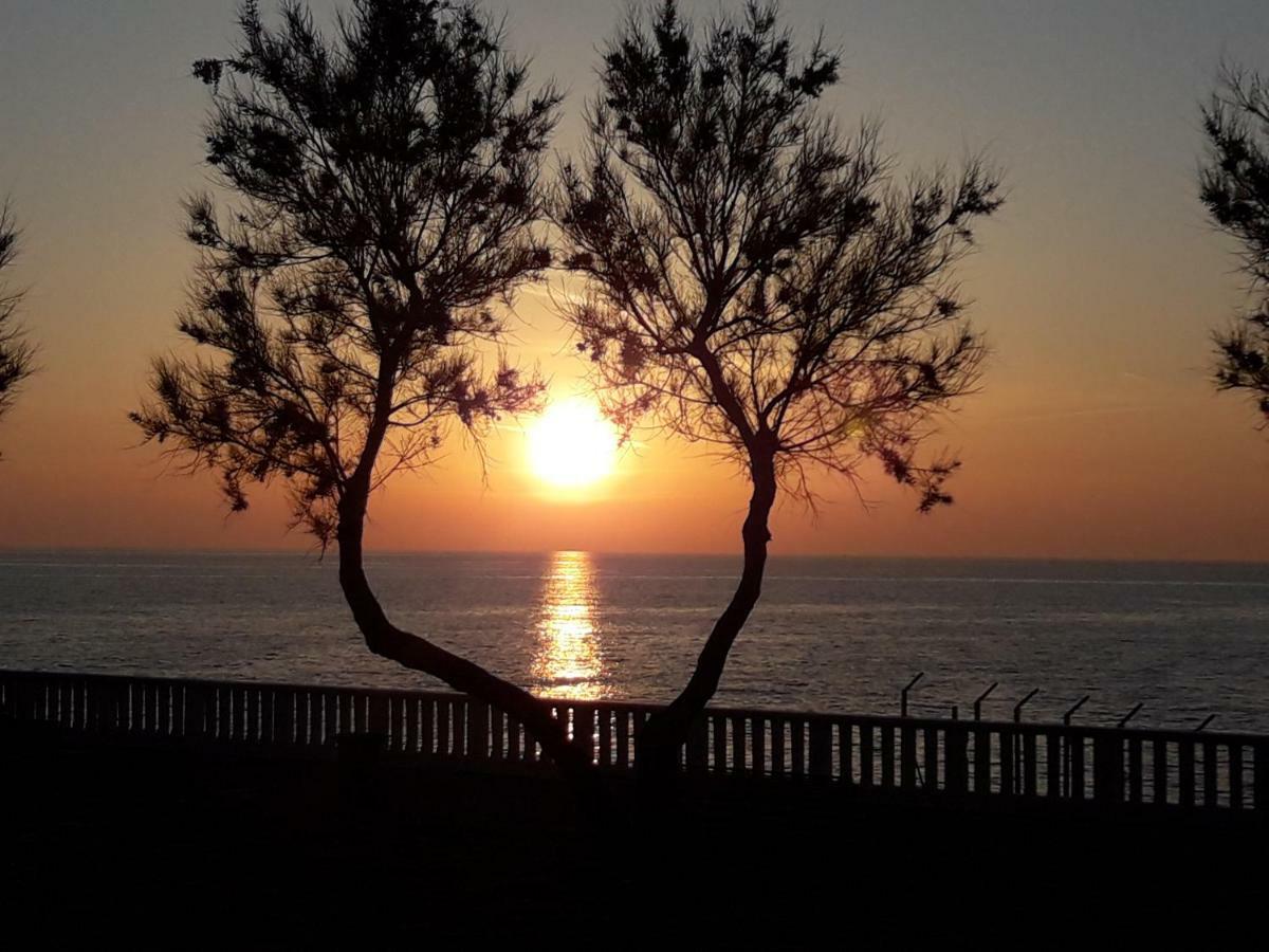 Agriturismo Le Cerbonche Розиньяно-Мариттимо Экстерьер фото